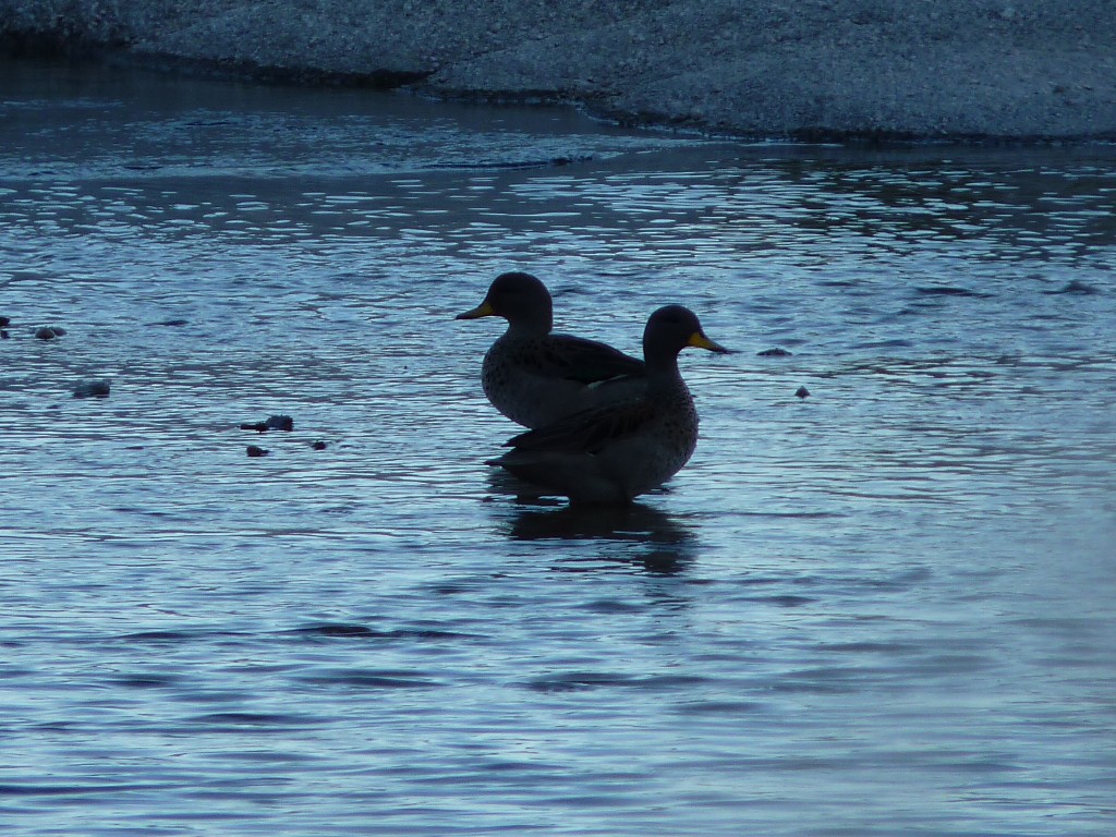 Foto: Río Panaholma - Panaholma (Córdoba), Argentina