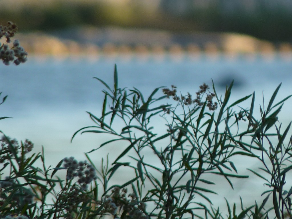 Foto: Río Panaholma - Panaholma (Córdoba), Argentina