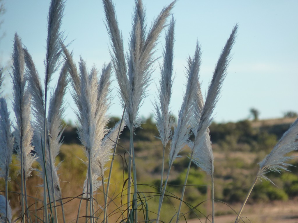 Foto: Río Panaholma - Panaholma (Córdoba), Argentina