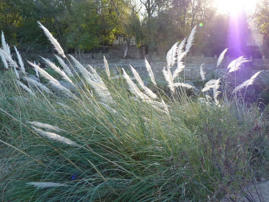 Foto: Río Panaholma - Panaholma (Córdoba), Argentina