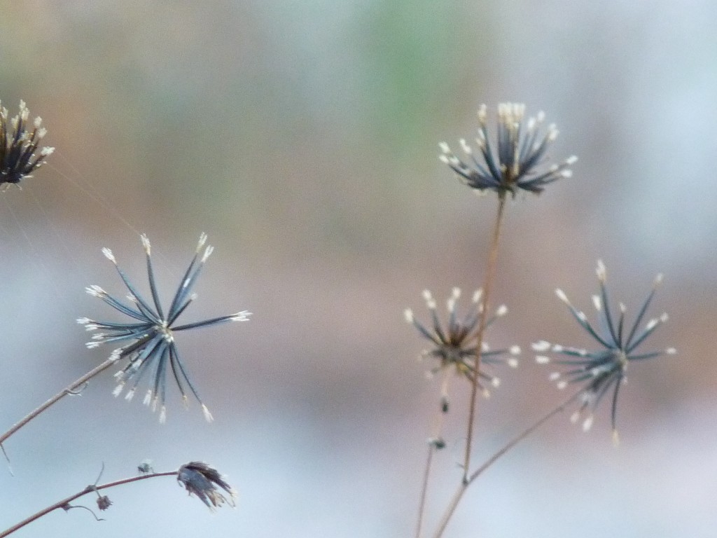 Foto: Río Panaholma - Panaholma (Córdoba), Argentina