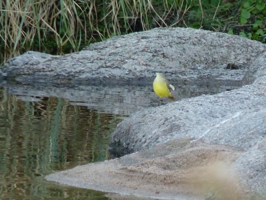 Foto: Río Panaholma - Panaholma (Córdoba), Argentina