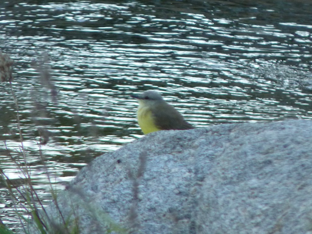 Foto: Río Panaholma - Panaholma (Córdoba), Argentina