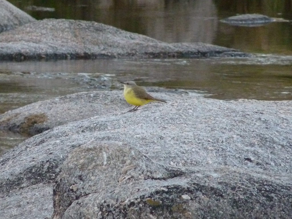Foto: Río Panaholma - Panaholma (Córdoba), Argentina