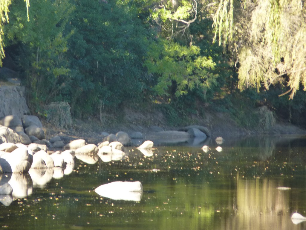 Foto: Balneario - Salsacate (Córdoba), Argentina