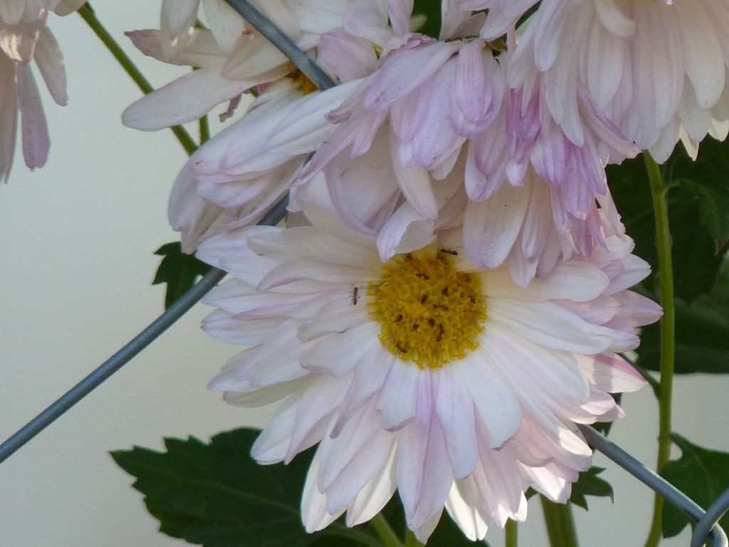 Foto: Balneario - Salsacate (Córdoba), Argentina