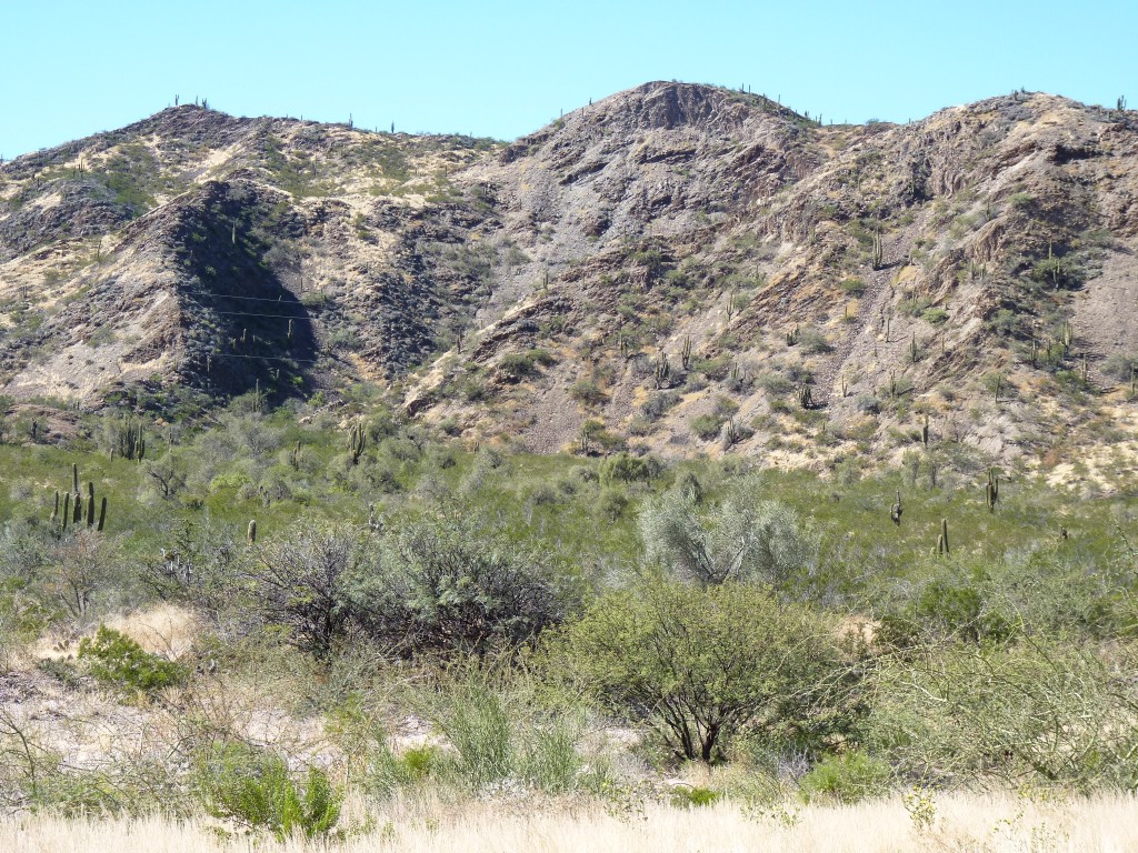 Foto: RP9 - Aimogasta (La Rioja), Argentina