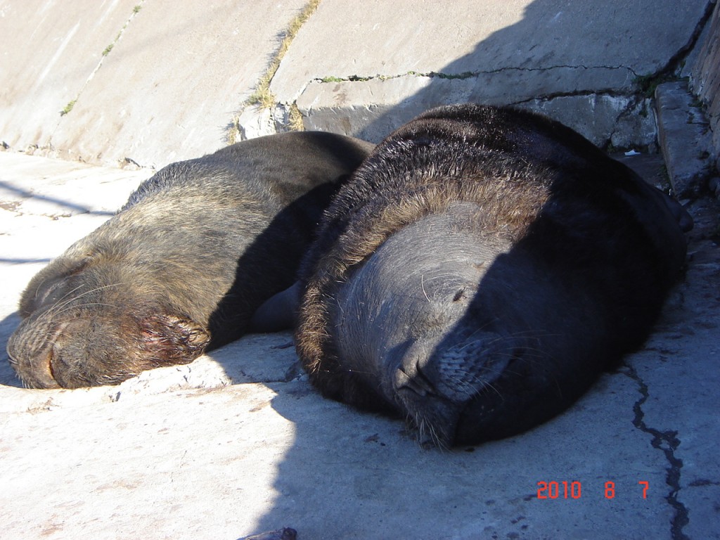 Foto: Puerto - Mar del Plata (Buenos Aires), Argentina