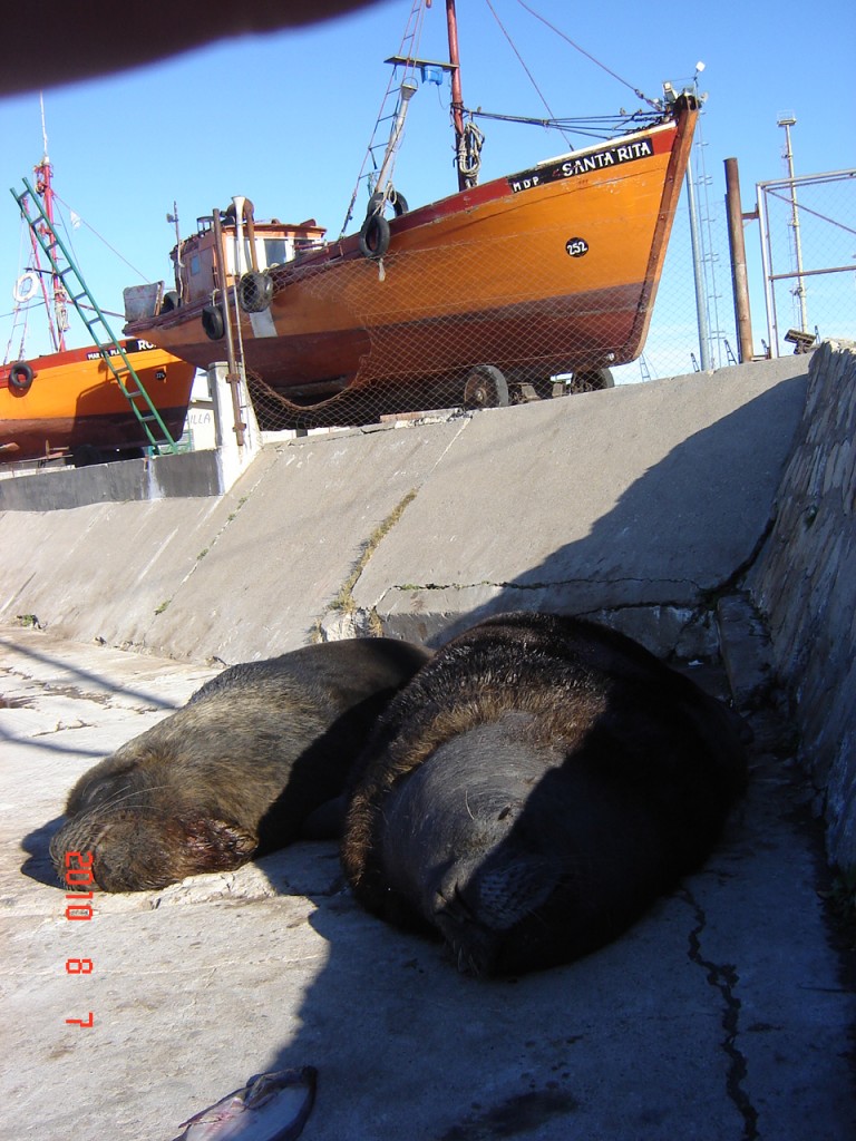 Foto: Puerto - Mar del Plata (Buenos Aires), Argentina