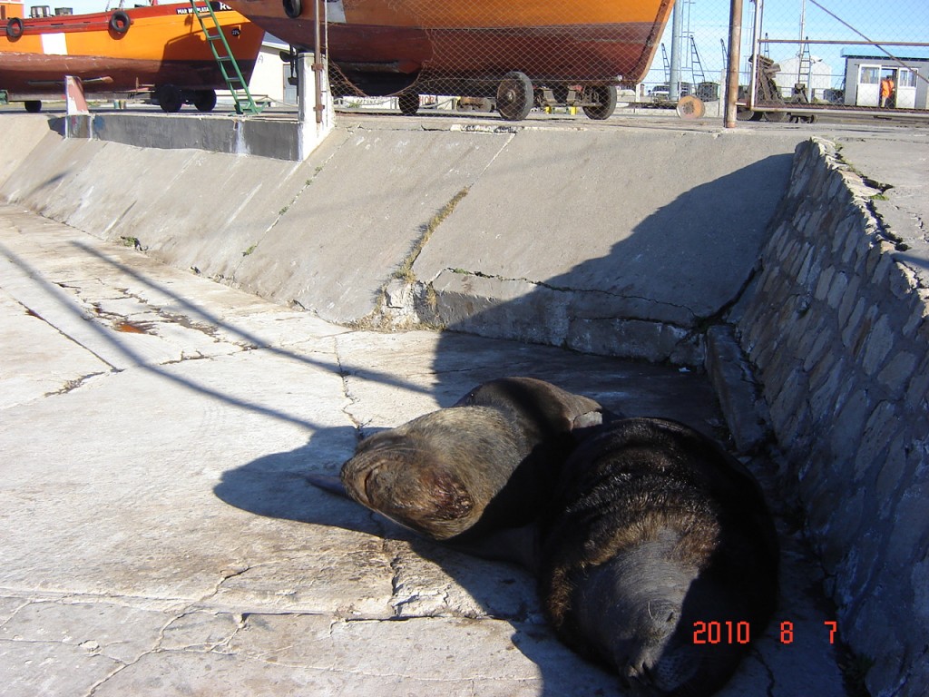 Foto: Puerto - Mar del Plata (Buenos Aires), Argentina