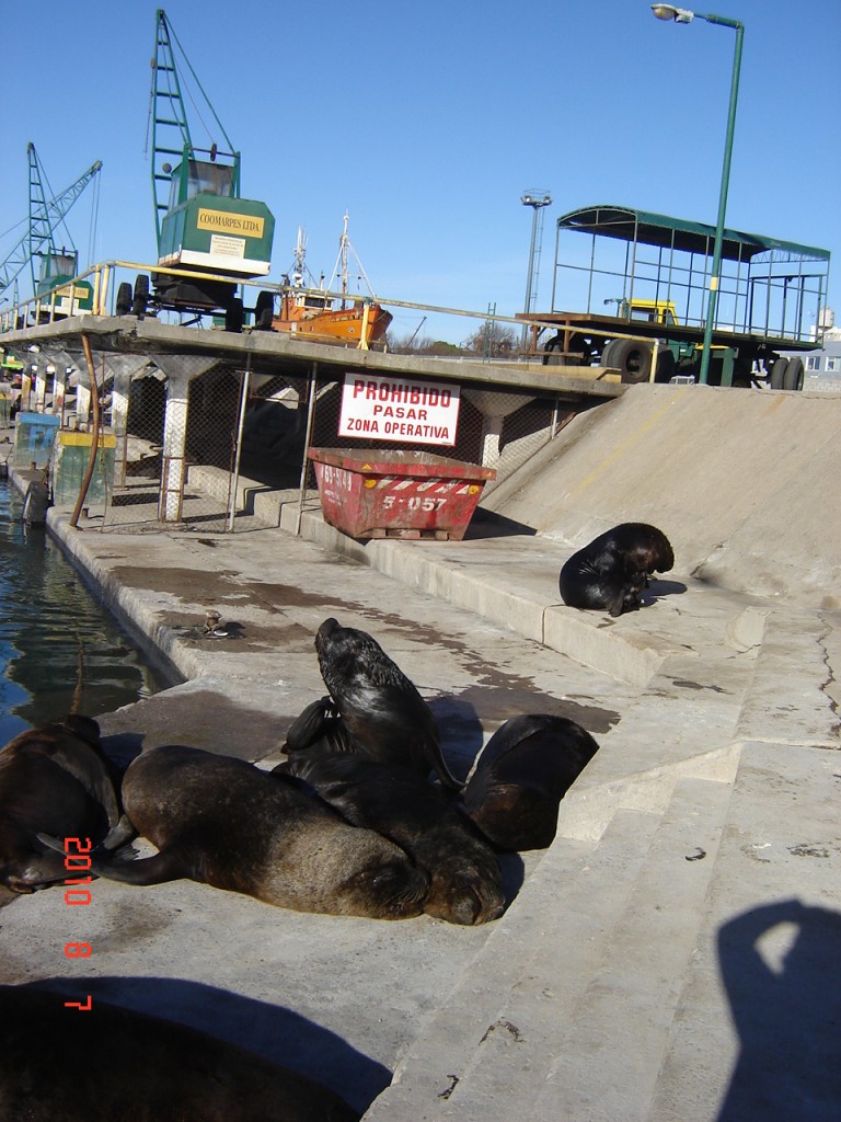 Foto: Puerto - Mar del Plata (Buenos Aires), Argentina