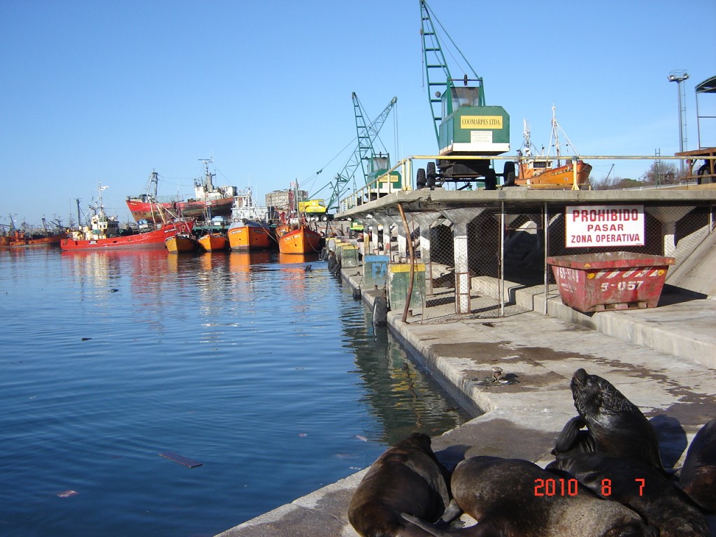 Foto: Puerto - Mar del Plata (Buenos Aires), Argentina