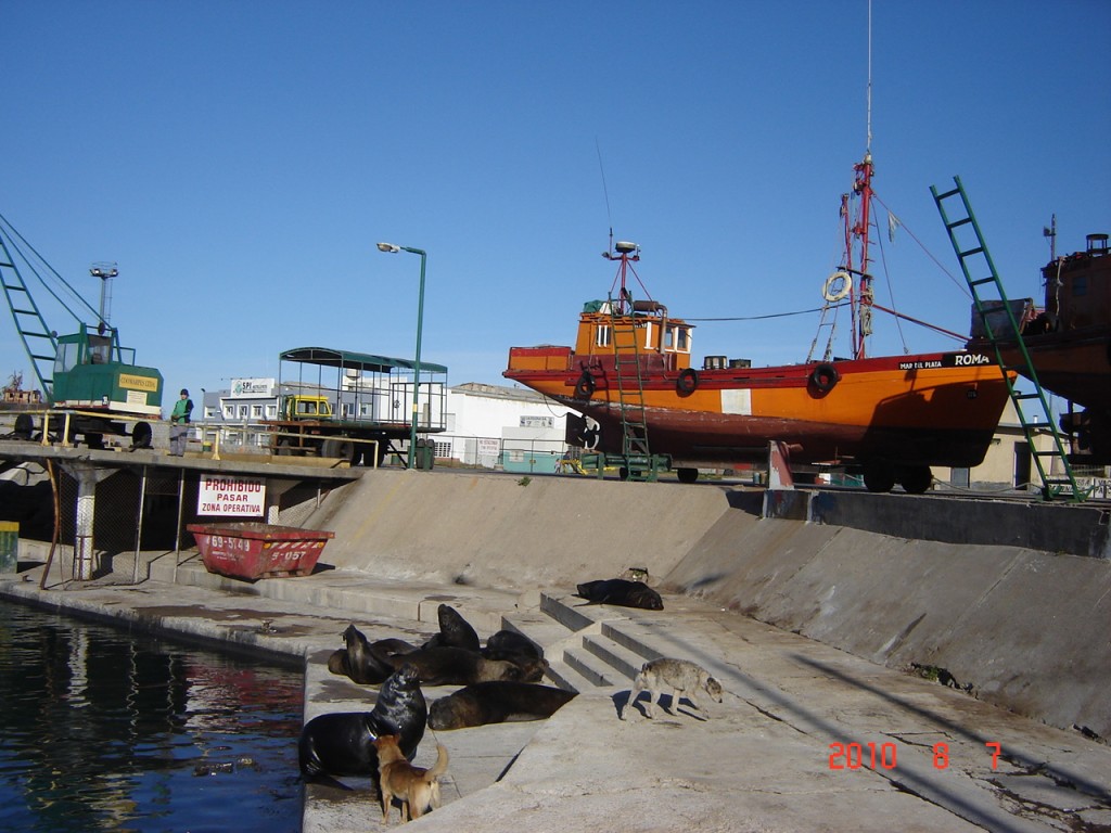 Foto: Puerto - Mar del Plata (Buenos Aires), Argentina