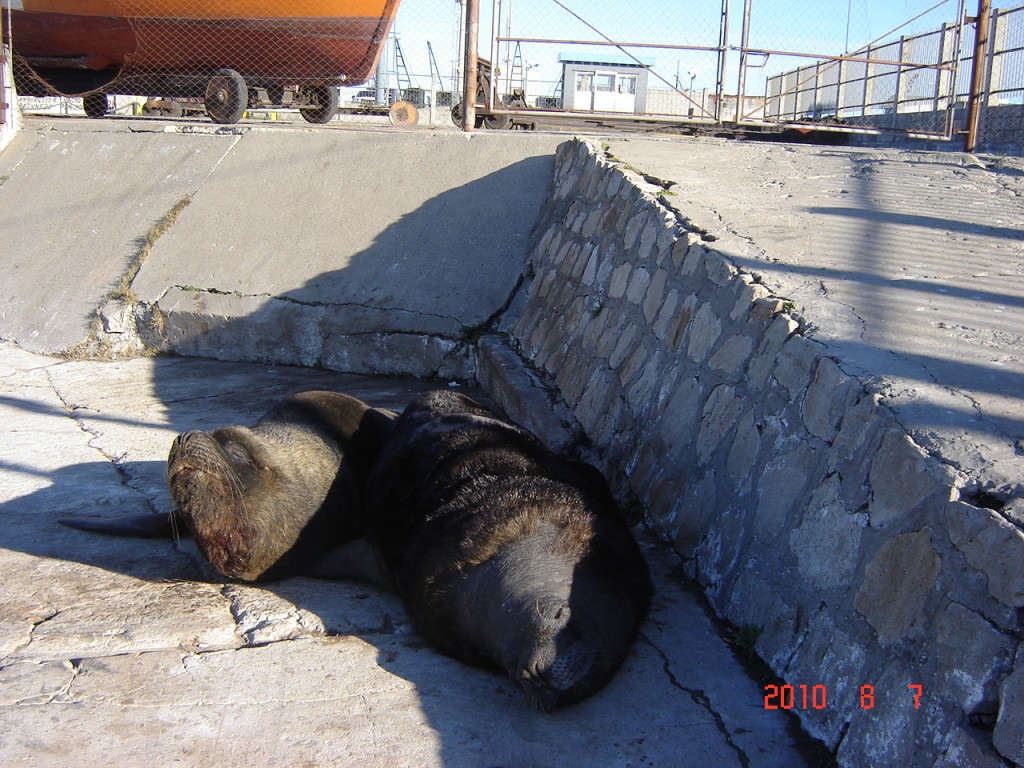 Foto: Puerto - Mar del Plata (Buenos Aires), Argentina