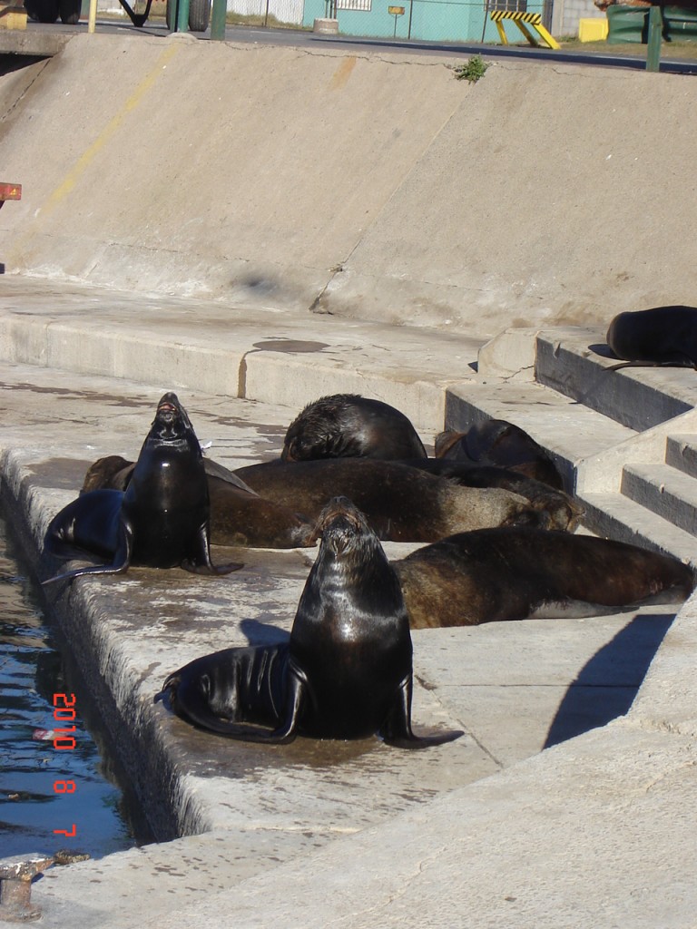 Foto: Puerto - Mar del Plata (Buenos Aires), Argentina