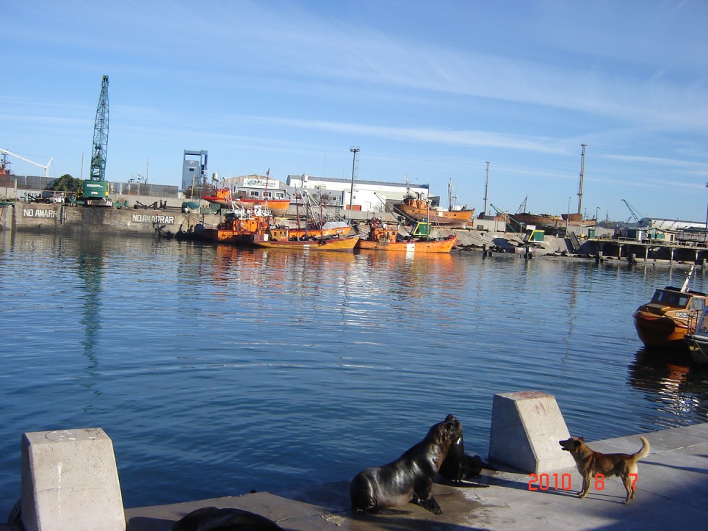 Foto: Puerto - Mar del Plata (Buenos Aires), Argentina