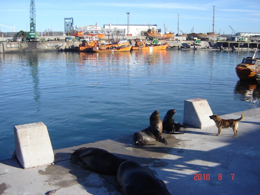 Foto: Puerto - Mar del Plata (Buenos Aires), Argentina