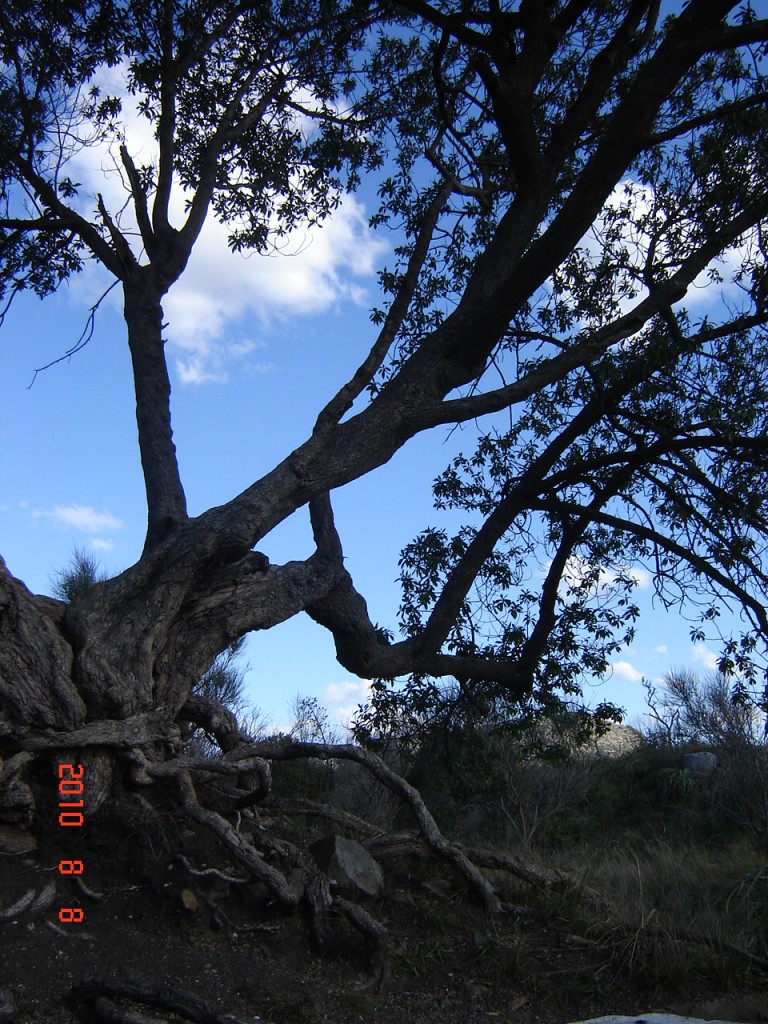 Foto de Balcarce (Buenos Aires), Argentina