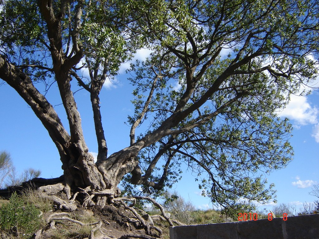 Foto de Balcarce (Buenos Aires), Argentina