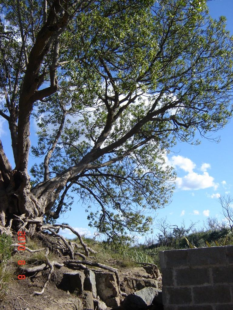 Foto de Balcarce (Buenos Aires), Argentina