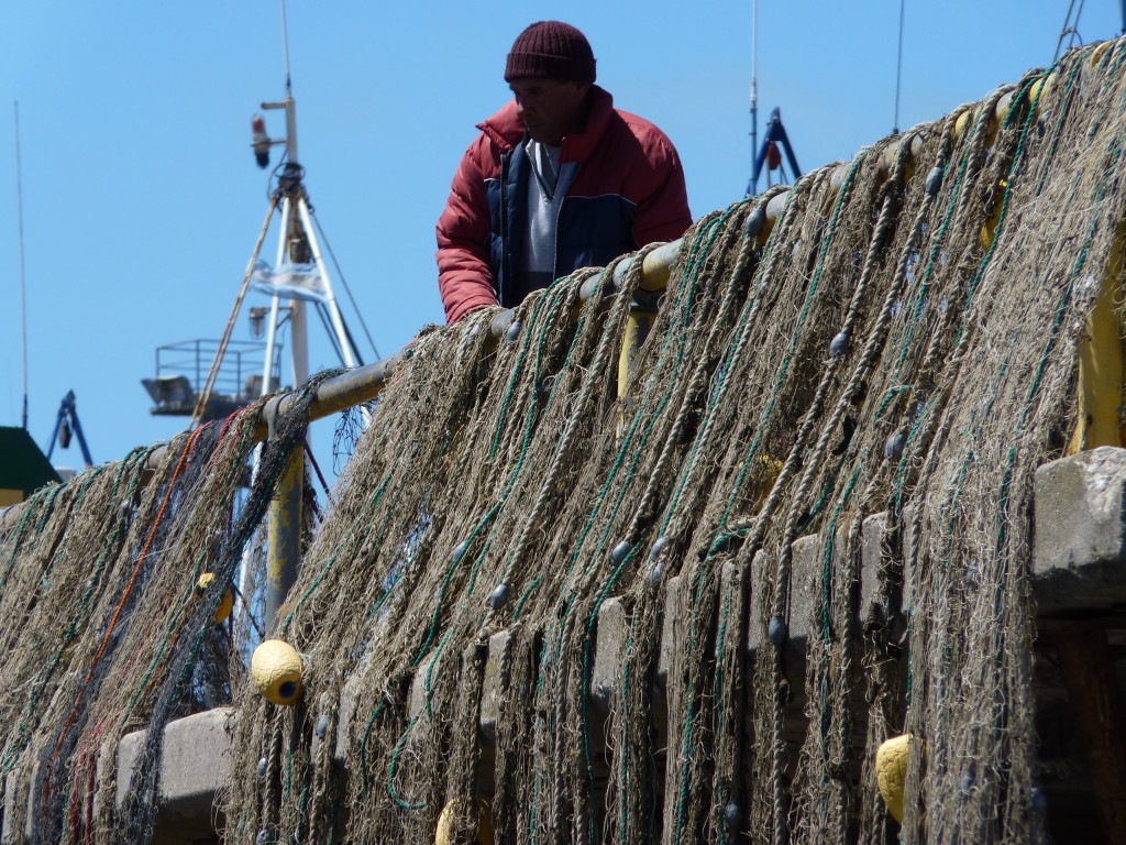 Foto de Mar del Plata (Buenos Aires), Argentina