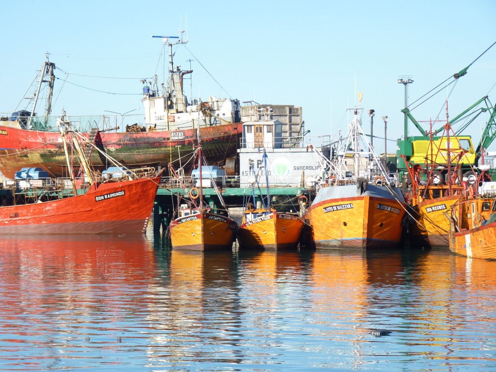Foto: Puerto - Mar del Plata (Buenos Aires), Argentina