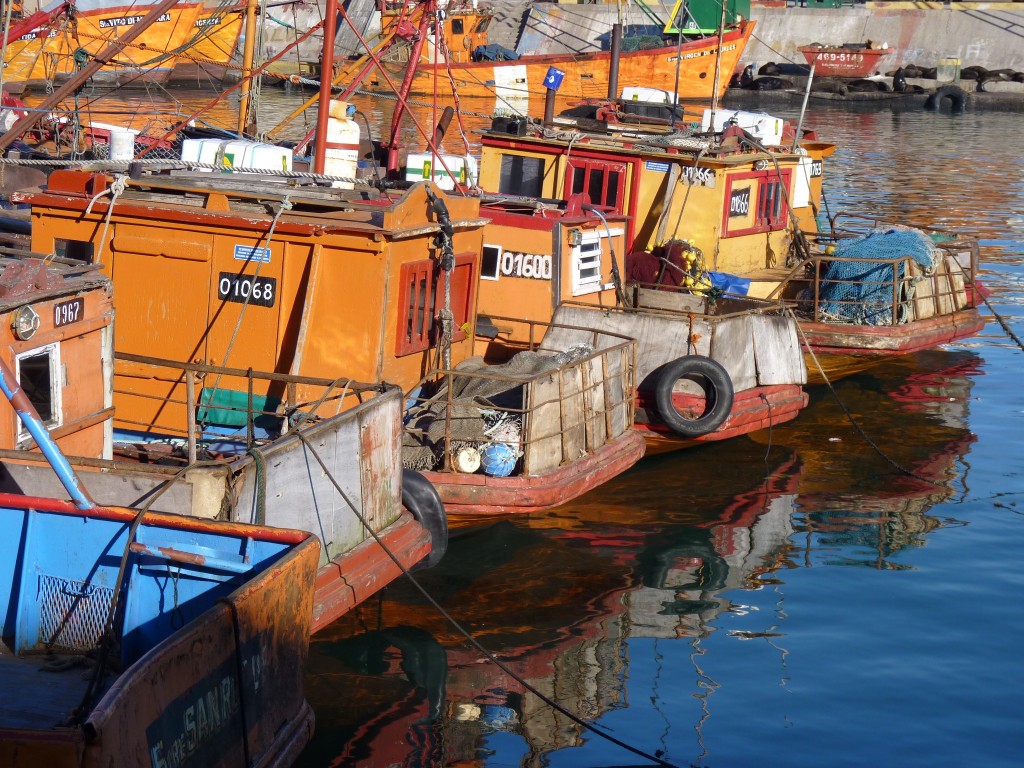 Foto de Mar del Plata (Buenos Aires), Argentina