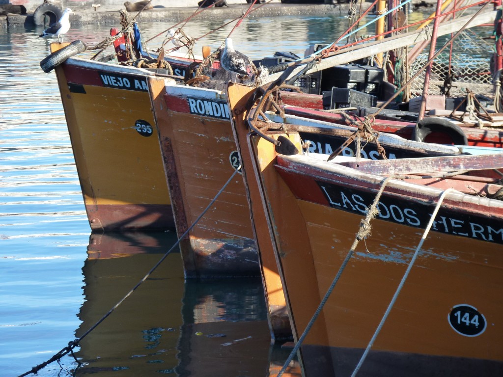 Foto de Mar del Plata (Buenos Aires), Argentina