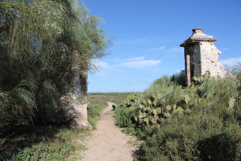 Foto de San Fernando (Cádiz), España