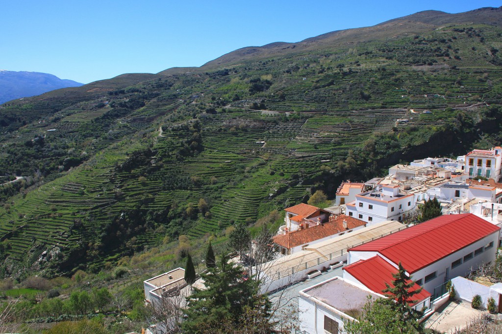 Foto: Vista de las terrazas - Ohanes (Almería), España