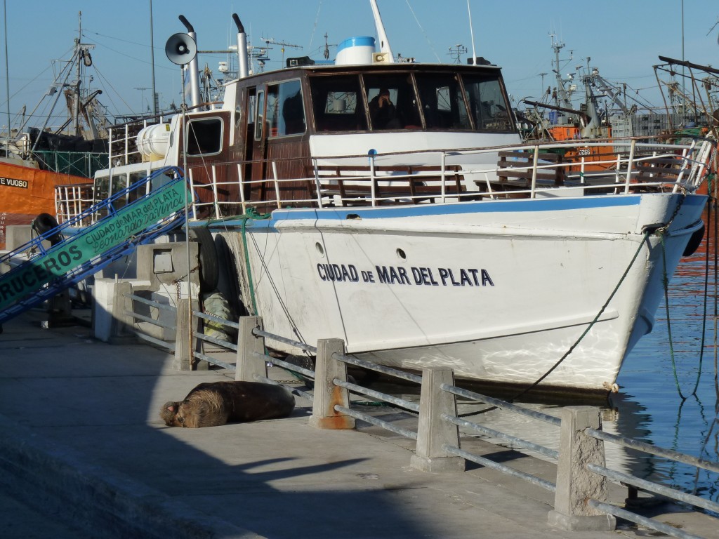 Foto de Mar del Plata (Buenos Aires), Argentina