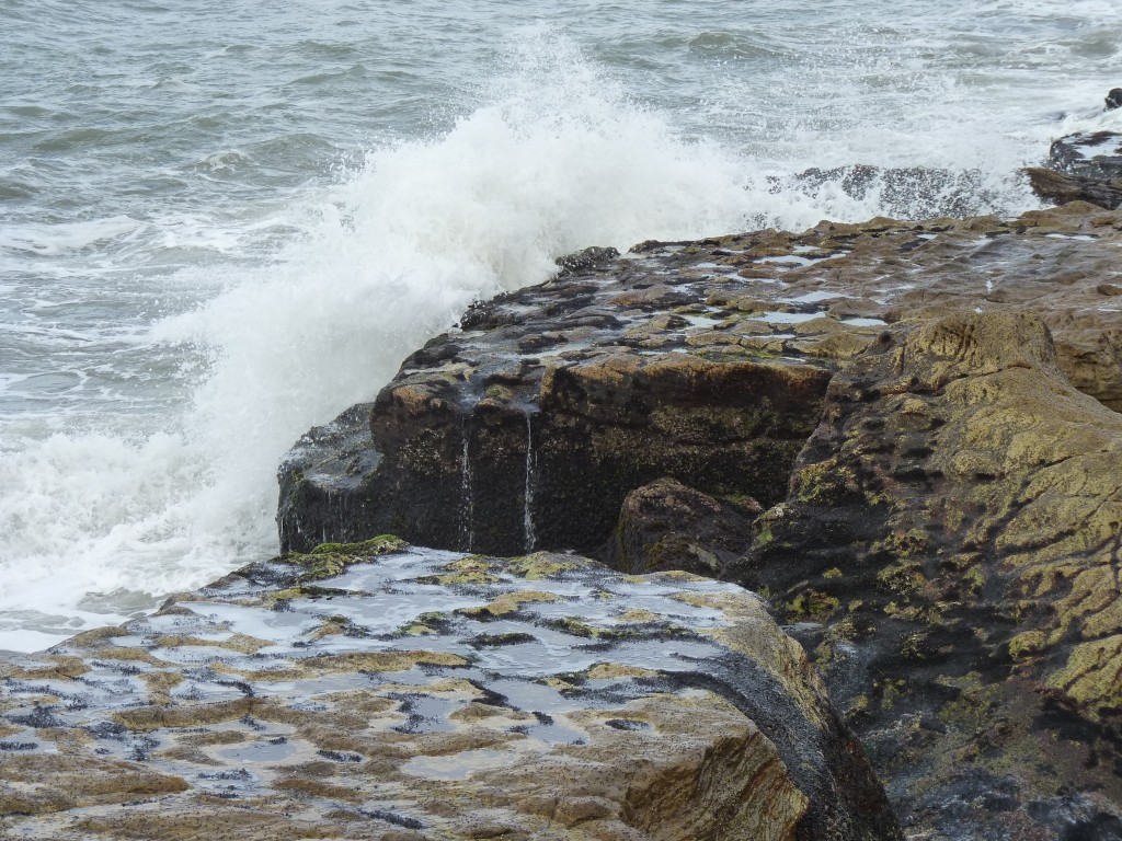 Foto de Mar del Plata (Buenos Aires), Argentina