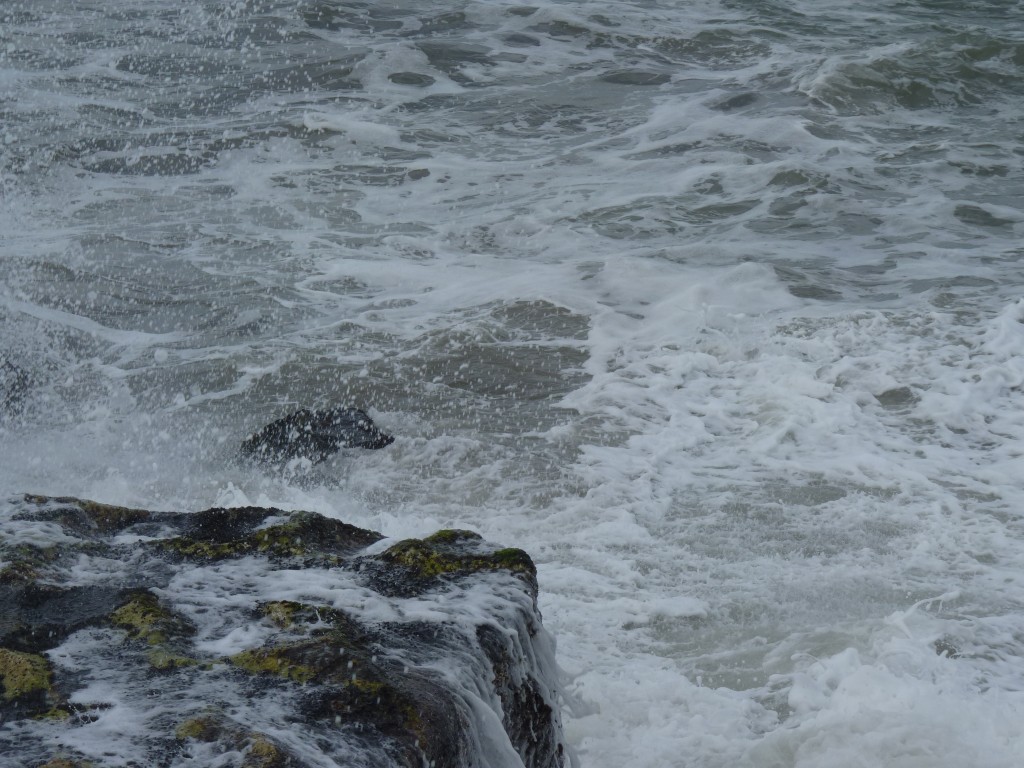 Foto de Mar del Plata (Buenos Aires), Argentina