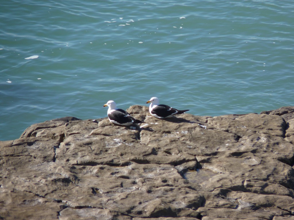 Foto de Mar del Plata (Buenos Aires), Argentina