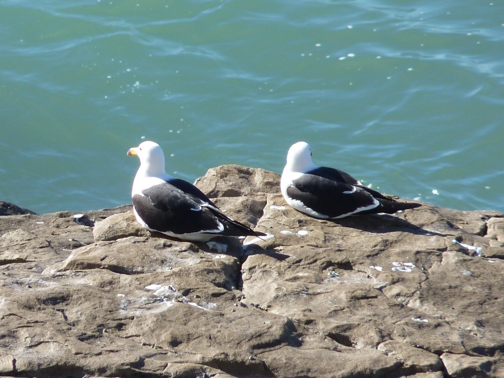 Foto de Mar del Plata (Buenos Aires), Argentina