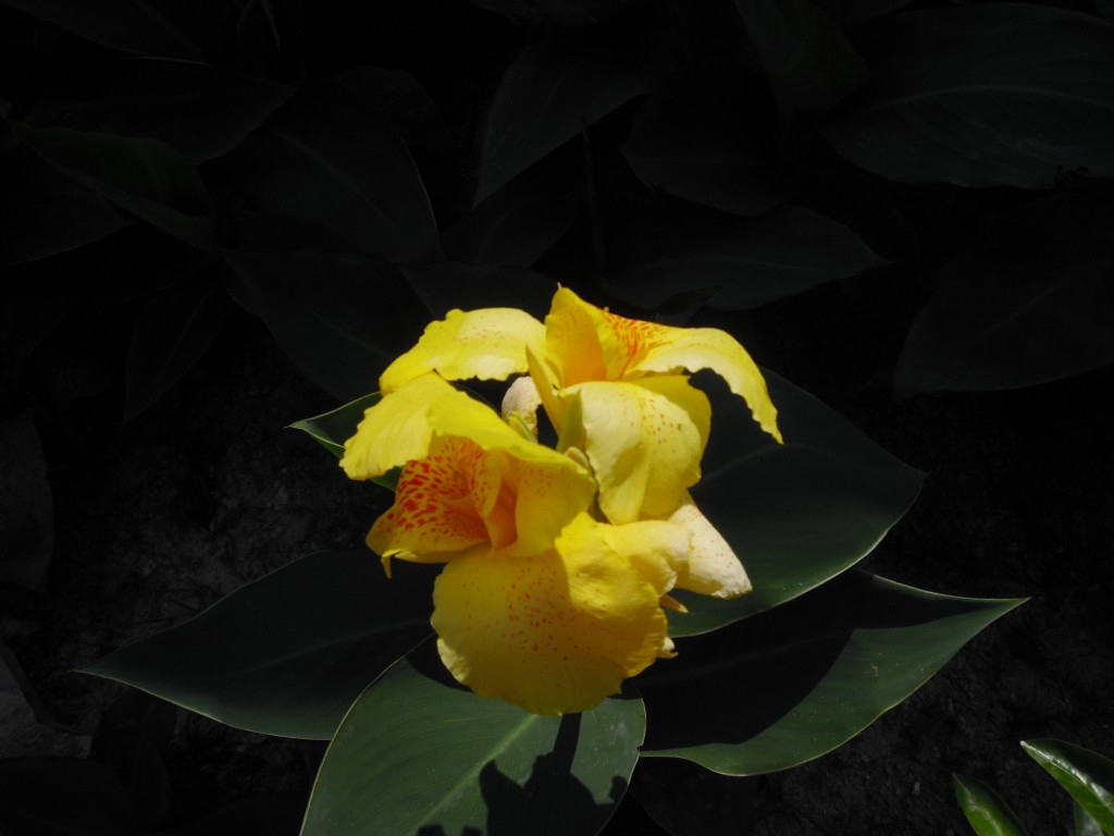 Foto: el avila - caracas, Venezuela