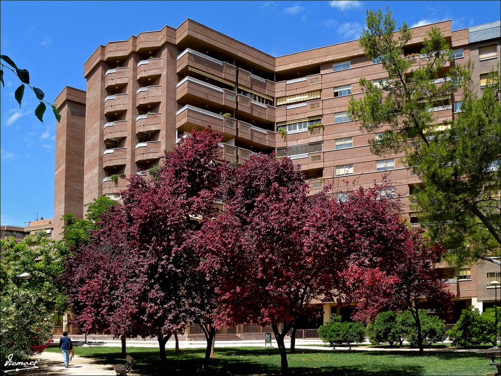 Foto: 110530-01 PARQUE MIRAFLORES - Zaragoza (Aragón), España