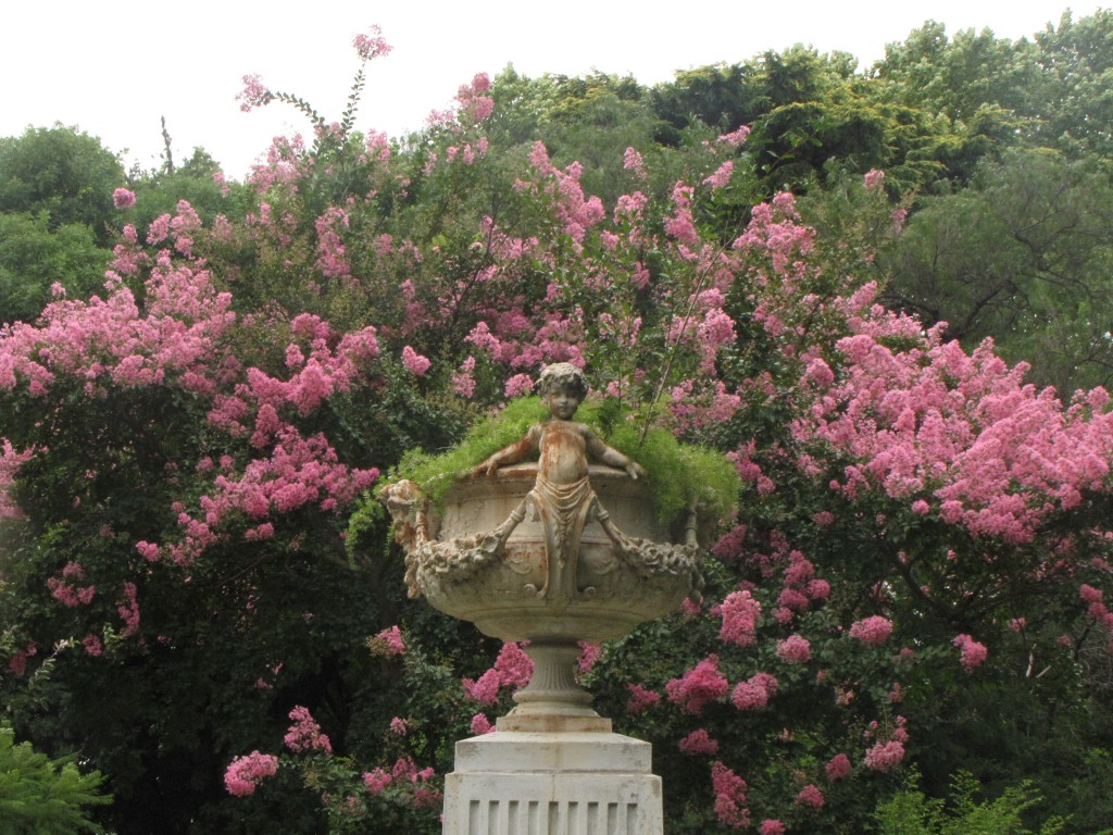 Foto: ... - Montevideo, Uruguay