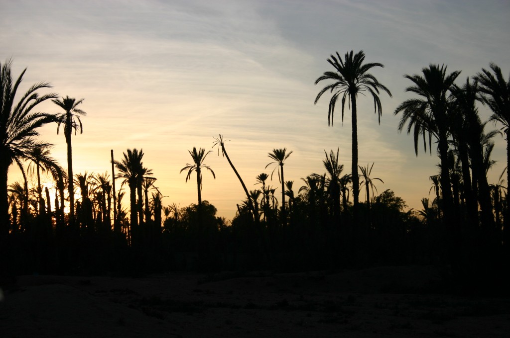 Foto de Marrakech (Marrakech-Tensift-Al Haouz), Marruecos