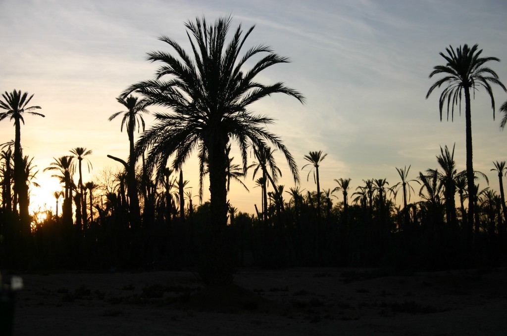 Foto de Marrakech (Marrakech-Tensift-Al Haouz), Marruecos
