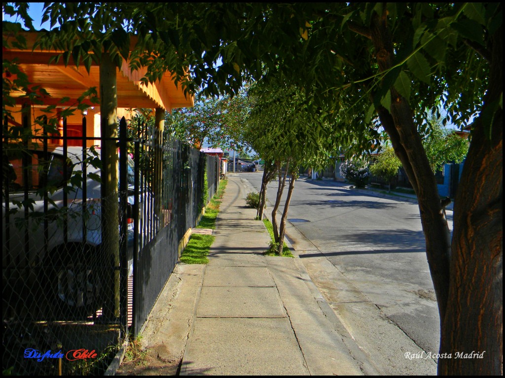 Foto de Lo Miranda (Libertador General Bernardo OʼHiggins), Chile