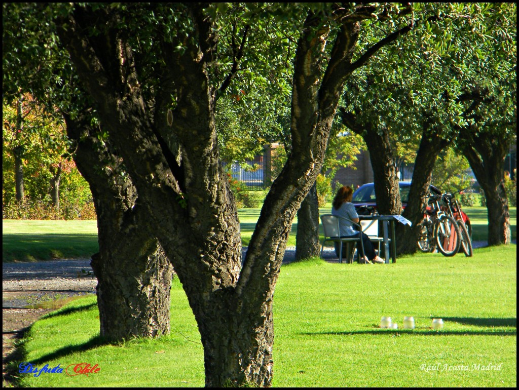 Foto de Rancagua (Libertador General Bernardo OʼHiggins), Chile