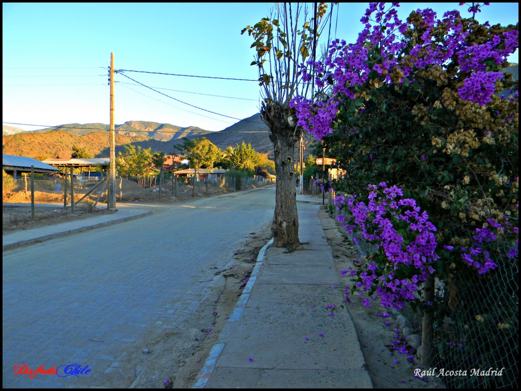 Foto de Alhué (Región Metropolitana), Chile