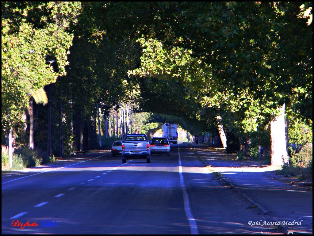 Foto: Sector La Rosa - Las Cabras (Libertador General Bernardo OʼHiggins), Chile