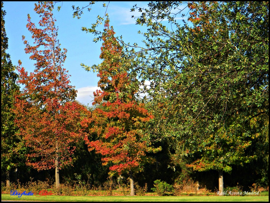 Foto de Rancagua (Libertador General Bernardo OʼHiggins), Chile