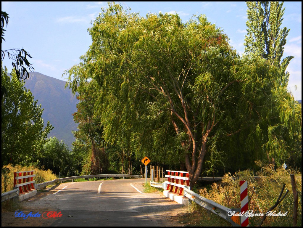 Foto de Lo Miranda (Libertador General Bernardo OʼHiggins), Chile