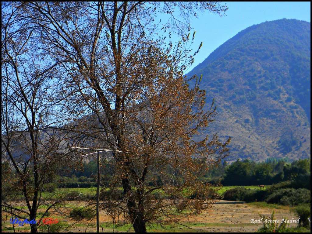 Foto de Lo Miranda (Libertador General Bernardo OʼHiggins), Chile