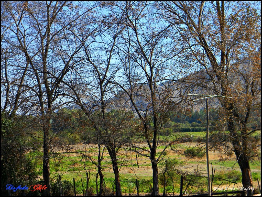 Foto de Lo Miranda (Libertador General Bernardo OʼHiggins), Chile