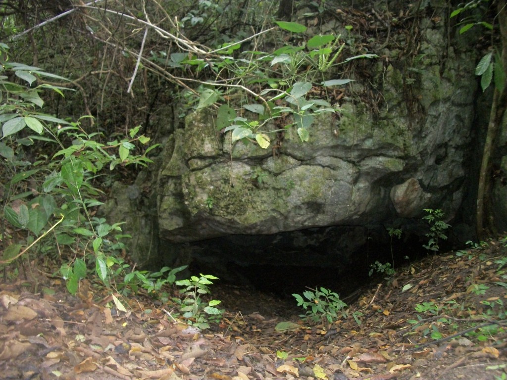 Foto: Haiton del Guarataro - Sierra (Falcón), Venezuela