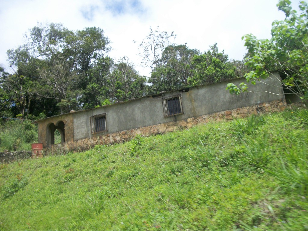 Foto: Subiendo hacia el Cerro Galicia - Curimagua (Falcón), Venezuela